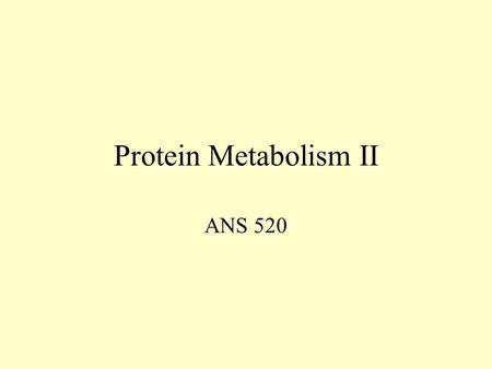 Protein Metabolism II ANS 520. Protein Pathways.