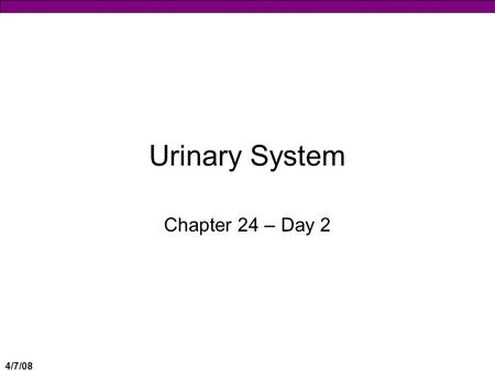 4/7/08 Urinary System Chapter 24 – Day 2. 4/7/08 Review Nephron Structure  Network with blood vessels  Two types of nephrons ♦Cortical Nephrons – loop.