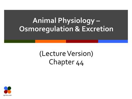 Animal Physiology – Osmoregulation & Excretion (Lecture Version) Chapter 44.