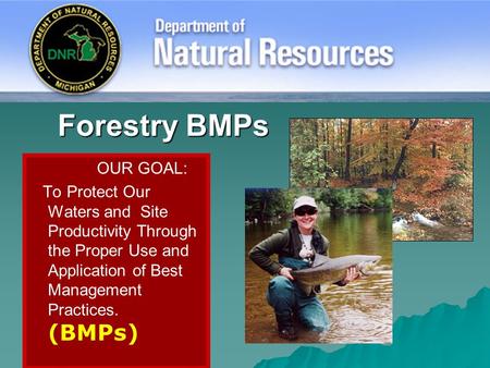 Forestry BMPs OUR GOAL: To Protect Our Waters and Site Productivity Through the Proper Use and Application of Best Management Practices. (BMPs)