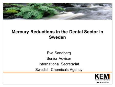 Www.kemi.se Mercury Reductions in the Dental Sector in Sweden Eva Sandberg Senior Adviser International Secretariat Swedish Chemicals Agency.