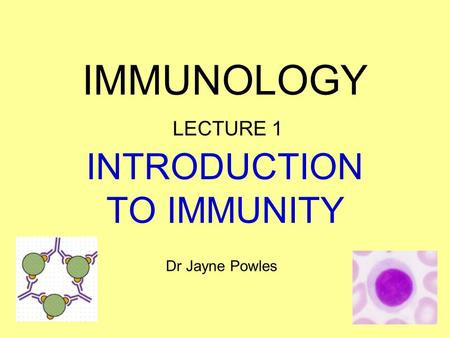INTRODUCTION TO IMMUNITY IMMUNOLOGY LECTURE 1 Dr Jayne Powles.