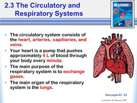 2.3 The Circulatory and Respiratory Systems