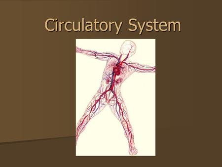 Circulatory System. The Circulatory System Circulatory system is made up of blood, the heart, and blood vessels.