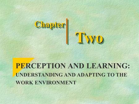 Two Chapter PERCEPTION AND LEARNING: UNDERSTANDING AND ADAPTING TO THE