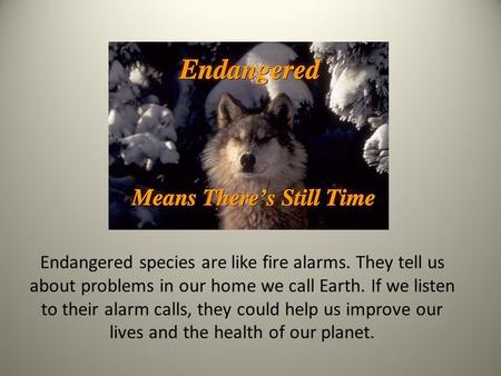 Endangered species are like fire alarms
