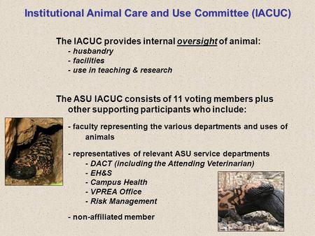 Institutional Animal Care and Use Committee (IACUC) The IACUC provides internal oversight of animal: - husbandry - facilities - use in teaching & research.