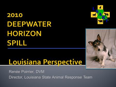 Renée Poirrier, DVM Director, Louisiana State Animal Response Team.