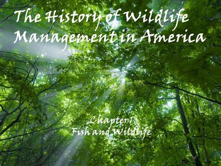 The History of Wildlife Management in America