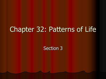 Chapter 32: Patterns of Life Section 3. Terms Icon - religious painting of Jesus, Mary, or a saint. Icon - religious painting of Jesus, Mary, or a saint.
