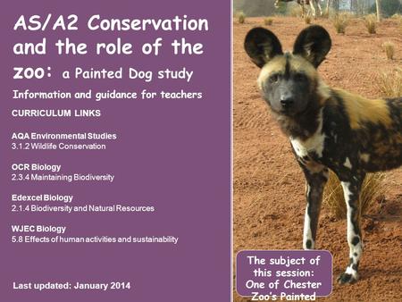 AS/A2 Conservation and the role of the zoo: a Painted Dog study Information and guidance for teachers CURRICULUM LINKS AQA Environmental Studies 3.1.2.