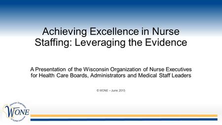 Achieving Excellence in Nurse Staffing: Leveraging the Evidence