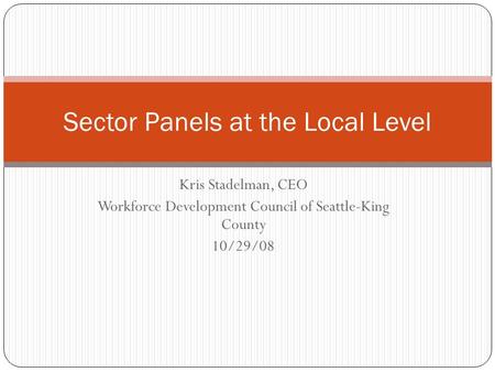 Kris Stadelman, CEO Workforce Development Council of Seattle-King County 10/29/08 Sector Panels at the Local Level.