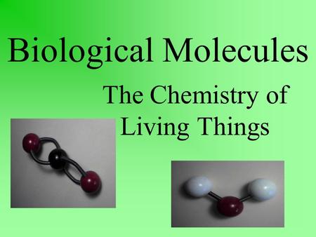 Biological Molecules The Chemistry of Living Things.