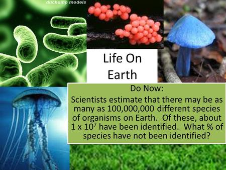 Life On Earth Do Now: Scientists estimate that there may be as many as 100,000,000 different species of organisms on Earth. Of these, about 1 x 10 7 have.
