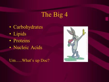 The Big 4 Carbohydrates Lipids Proteins Nucleic Acids Um…..What’s up Doc?