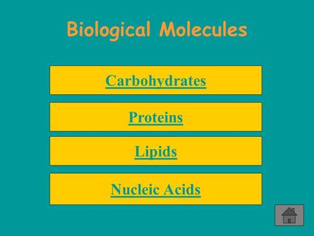 Biological Molecules Carbohydrates Proteins Lipids Nucleic Acids.