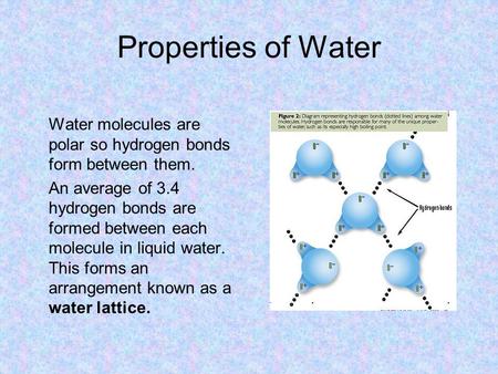 Properties of Water Water molecules are polar so hydrogen bonds form between them. An average of 3.4 hydrogen bonds are formed between each molecule in.