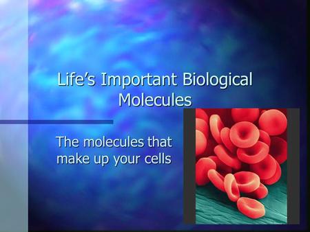 Life’s Important Biological Molecules The molecules that make up your cells.