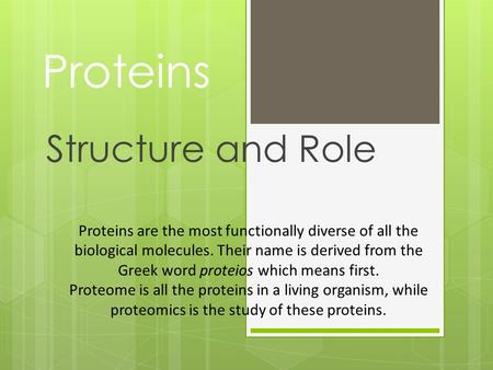 Proteins Structure and Role