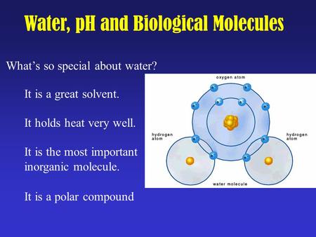 What’s so special about water? It is a great solvent. It holds heat very well. It is the most important inorganic molecule. It is a polar compound Water,