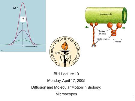 1 Bi 1 Lecture 10 Monday, April 17, 2005 Diffusion and Molecular Motion in Biology; Microscopes C Dt =