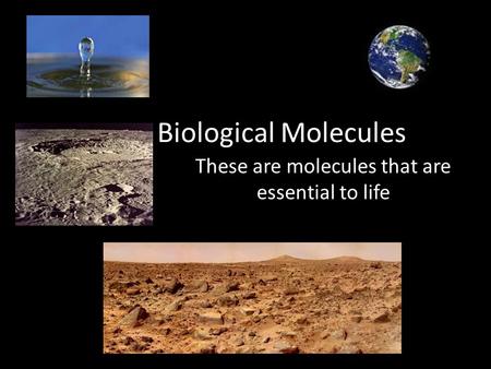 Biological Molecules These are molecules that are essential to life.