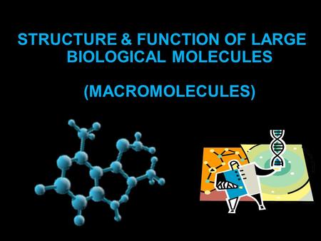STRUCTURE & FUNCTION OF LARGE BIOLOGICAL MOLECULES (MACROMOLECULES)