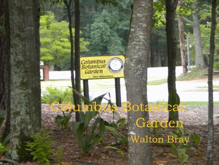 Columbus Botanical Garden Walton Bray. Mission: “To preserve a portion of the rapidly diminishing open space in Columbus and to provide the public with.
