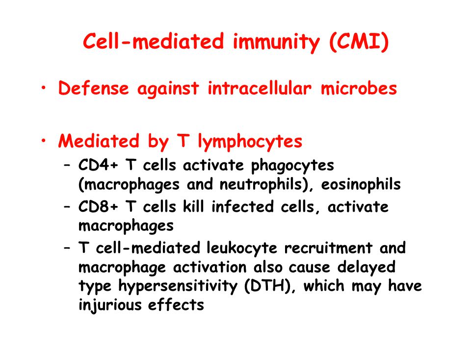 T cell mediated macrophage activation cytokines – Telegraph