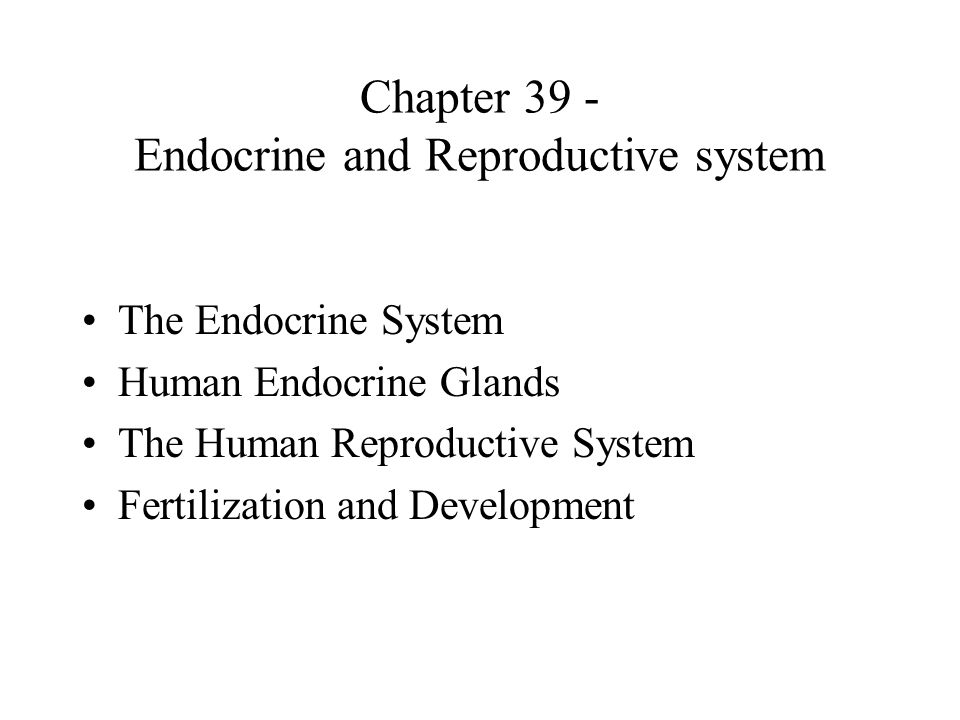 Chapter 39 Endocrine And Reproductive System Ppt Video Online Download