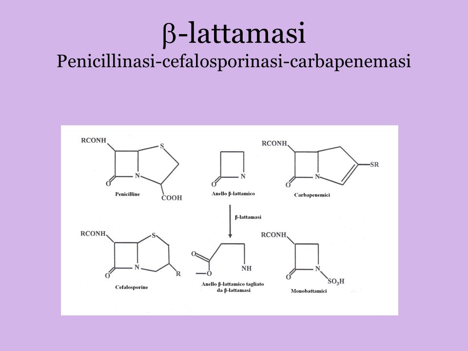 b-lattamasi Penicillinasi-cefalosporinasi-carbapenemasi - ppt video online  download