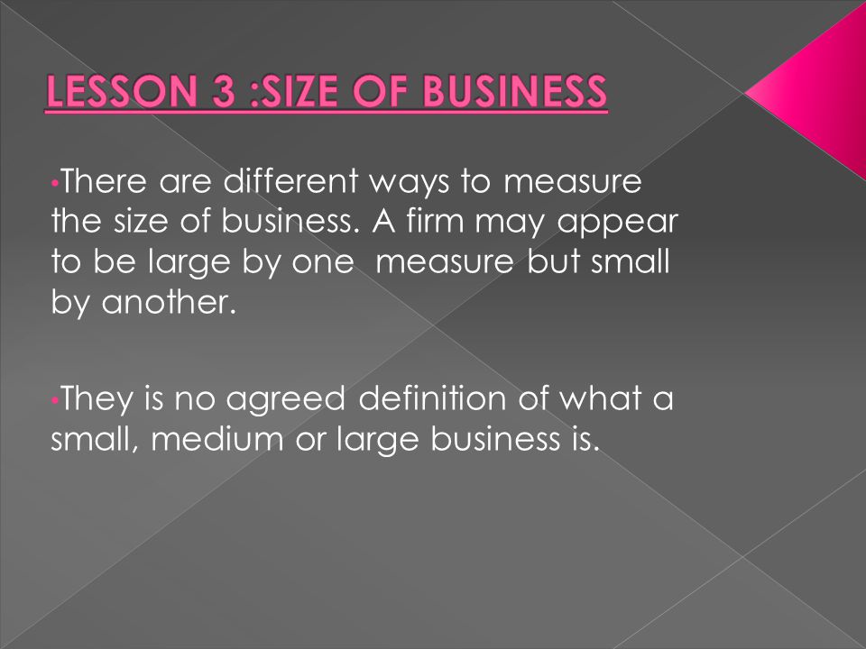 LESSON 3 :SIZE OF BUSINESS - ppt video online download