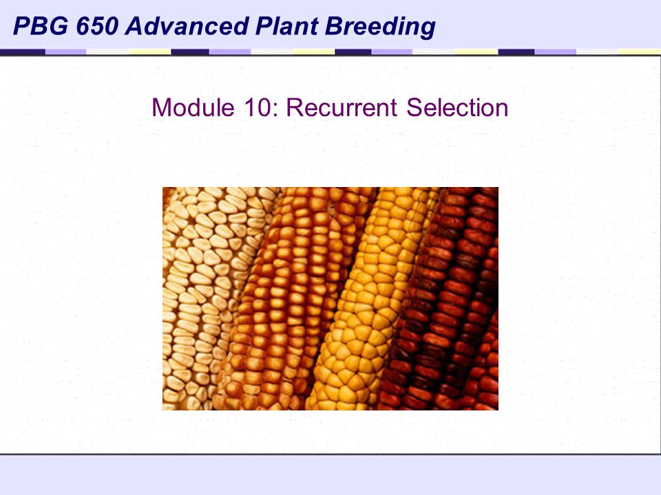 Module 10: Recurrent Selection - ppt video online download