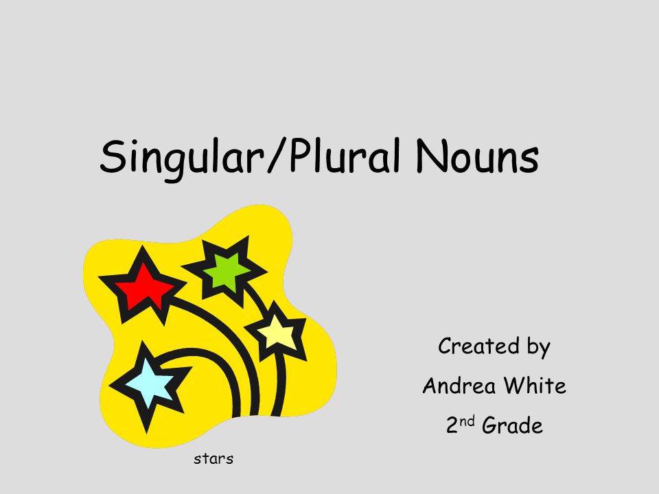 Singular/Plural Nouns - ppt video online download