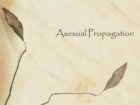 Asexual Propagation.