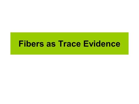 Fibers as Trace Evidence. Fibers Fibers are EVERYWHERE! As you interact with others or the environment, fibers become attached to your body and clothes,