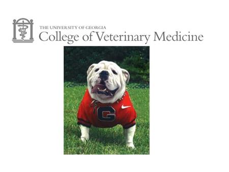 “The University of Georgia College of Veterinary Medicine, founded in 1946, is dedicated to training future veterinarians, providing services to animal.