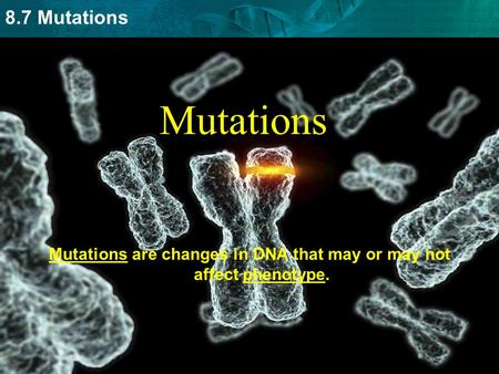 Mutations are changes in DNA that may or may not affect phenotype.