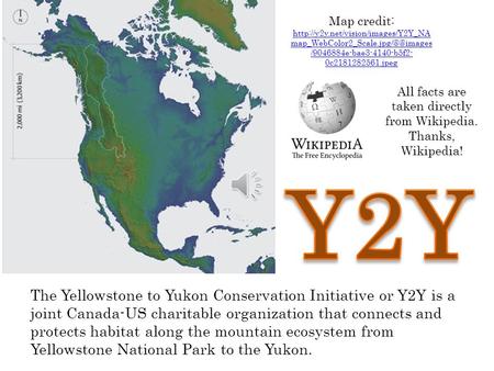 The Yellowstone to Yukon Conservation Initiative or Y2Y is a joint Canada-US charitable organization that connects and protects habitat along the mountain.