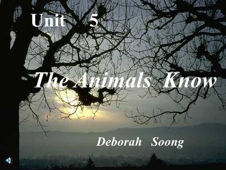 Unit 5 The Animals Know Deborah Soong The Animals Know Teaching Activities Index.