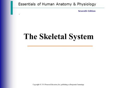 The Skeletal System Essentials of Human Anatomy & Physiology .
