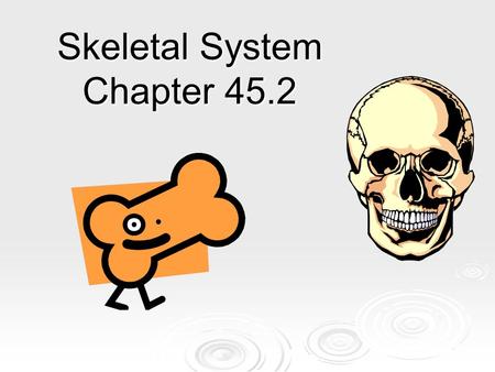 Skeletal System Chapter 45.2
