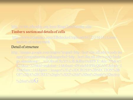 Timber x section and details of cells