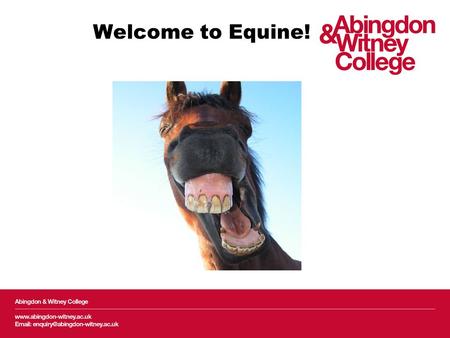 Welcome to Equine!. Employer engagement Methodology Questionnaire split into 4 main sections: –Course content suitability –Work Experience –Employee Professional.