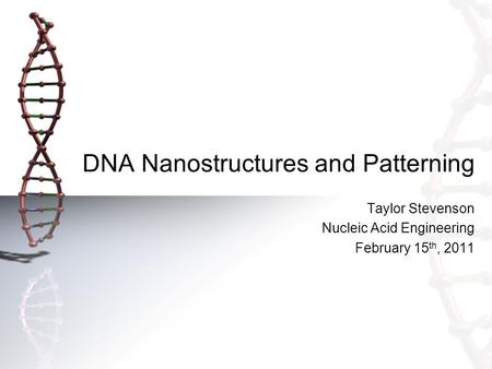 DNA Nanostructures and Patterning Taylor Stevenson Nucleic Acid Engineering February 15 th, 2011.