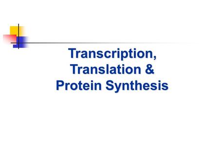 Transcription, Translation & Protein Synthesis. Protein Synthesis Protein synthesis is the process in which a cell makes protein based on the message.