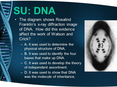 SU: DNA The diagram shows Rosalind Franklin’s x-ray diffraction image of DNA. How did this evidence affect the work of Watson and Crick? –A. It was used.