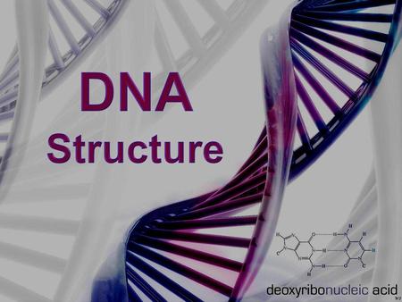 DNA stands for Deoxyribonucleic acid DNA Structure DNA consists of two molecules that are arranged into a ladder-like structure called a Double Helix.