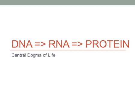 DNA => RNA => PROTEIN Central Dogma of Life. DNA Name: Deoxyribonucleic Acid “Molecule of Life” Stays in the nucleus of eukaryotes Codes for RNA and ultimately.